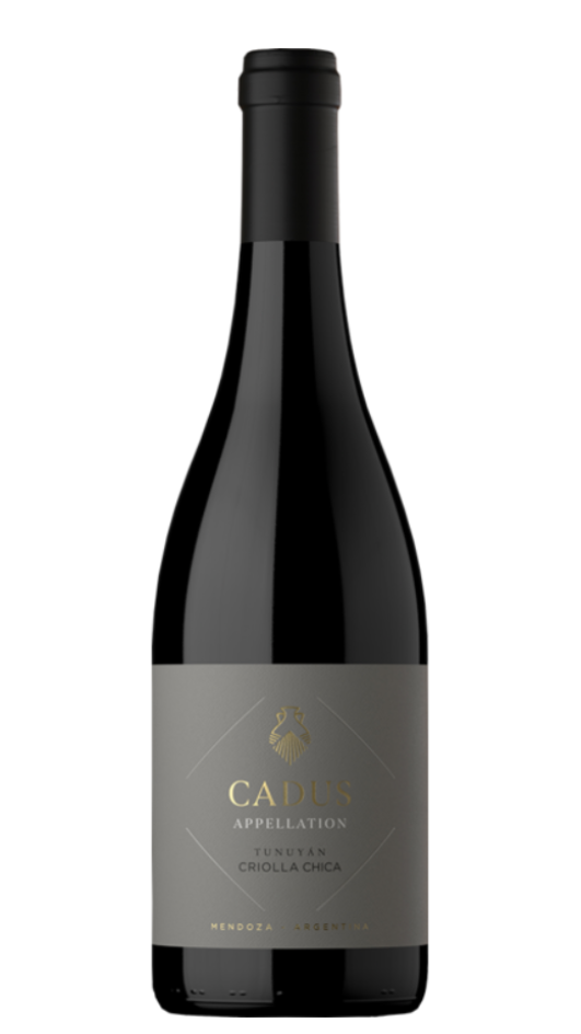 Cadus appelation tunuyan (Chardonnay, criolla, petit verdot, pinot noir)